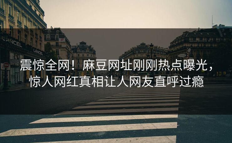 震惊全网！麻豆网址刚刚热点曝光，惊人网红真相让人网友直呼过瘾