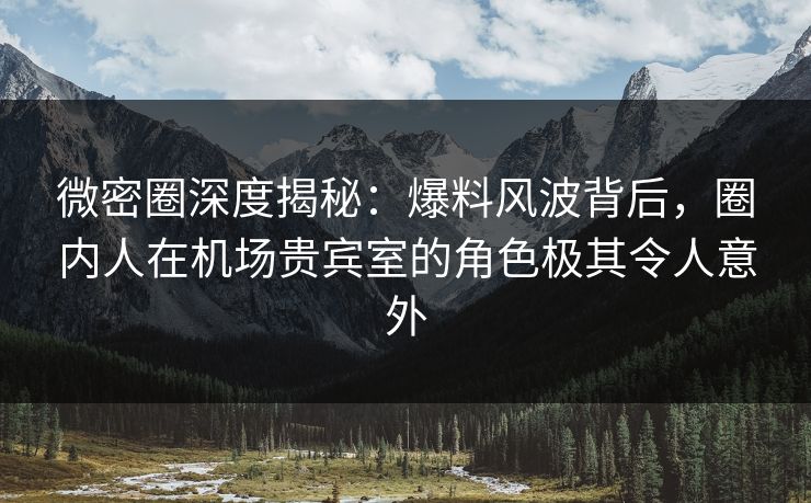 微密圈深度揭秘：爆料风波背后，圈内人在机场贵宾室的角色极其令人意外