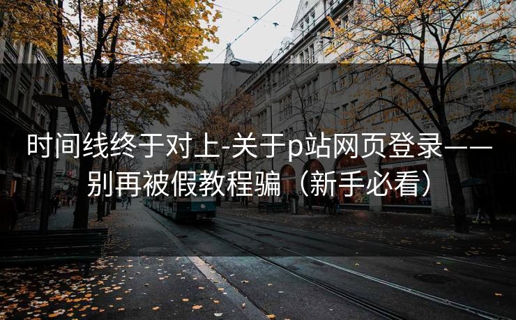 时间线终于对上-关于p站网页登录——别再被假教程骗（新手必看）